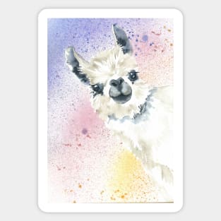 Rainbow Alpaca Sticker